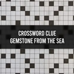 Man at sea crossword clue