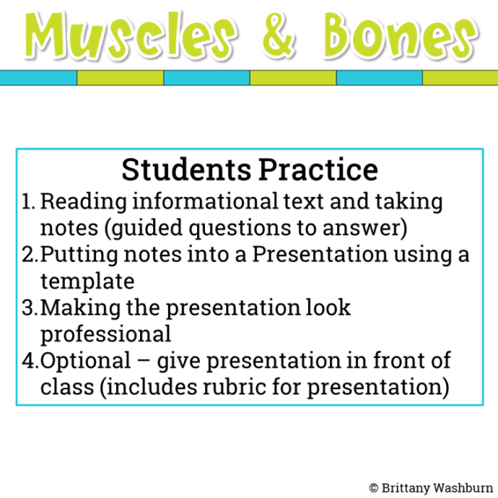 Student exploration muscles and bones