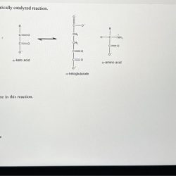 Catalyzed reaction enzymatically consider solved transcribed text show