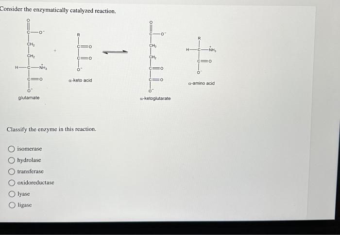 Catalyzed reaction enzymatically consider solved transcribed text show