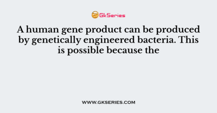 Genetically engineered bacteria are being developed to produce alternative fuels