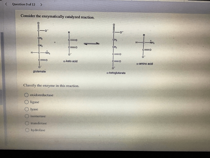 Solved reaction catalyzed enzymatically consider answer problem been has