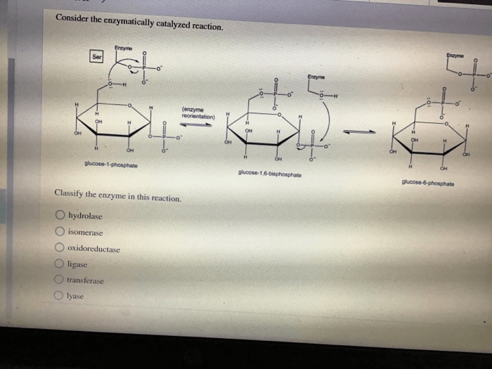 Consider the enzymatically catalyzed reaction.